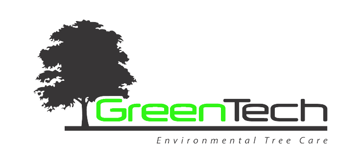 Green Tech Tree - Logo