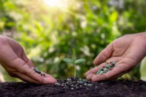 Green Tech Tree Service - Fertilizing