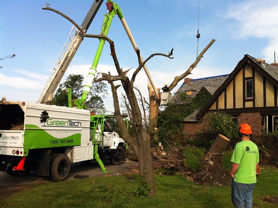 Green Tech Tree-Tree Removing Pruning