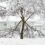 How Snowstorms Damage Your Trees