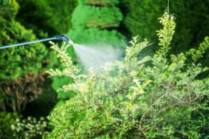 Pros and Cons of Tree Spraying - Green Tech Tree