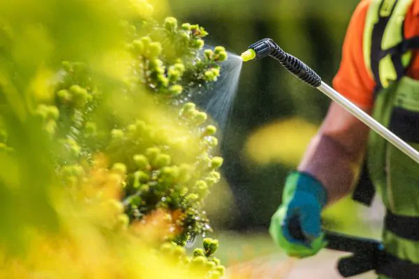Pros and Cons of Tree Spraying in Massachusetts - Green Tech Tree