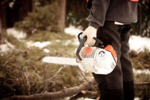 Scheduling Wintertime Tree Services, Keeping Trees Healthy, Green Tech Tree Services