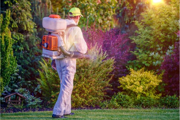 Professional Pest Control Services - Green Tech Tree
